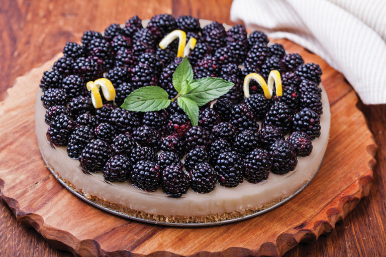 Blackberry Yoghurt No-Bake Pie