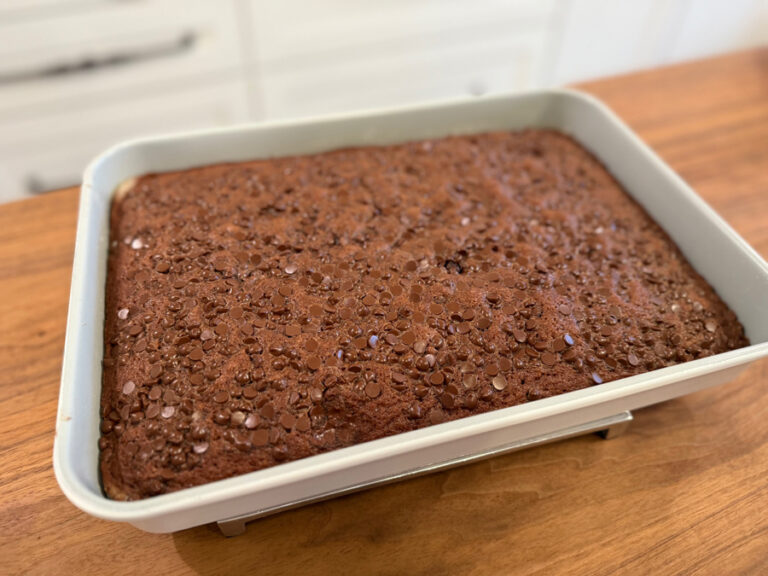 Ela’s Chocolate Chip Applesauce Cake
